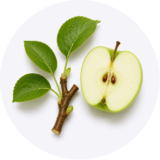 Close up of Apple Stem Cell Extract