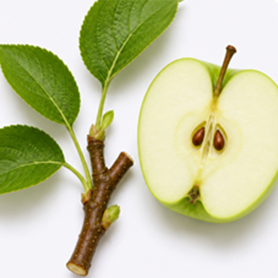 Close up of Apple Stem Cell Extract
