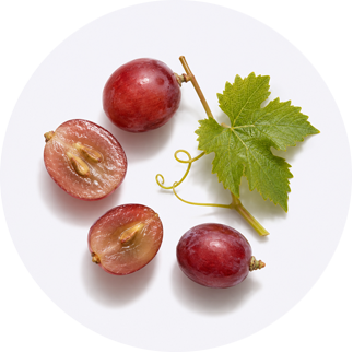 Close up of Resveratrol