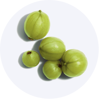 Close up of Emblica Fruit Extract
