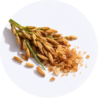 Close up of Ferulic Acid