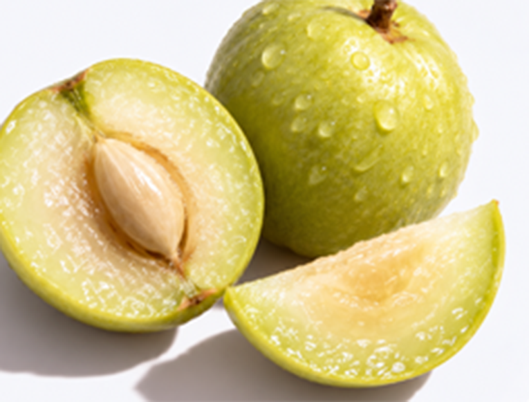 Close up of Kakadu Plum