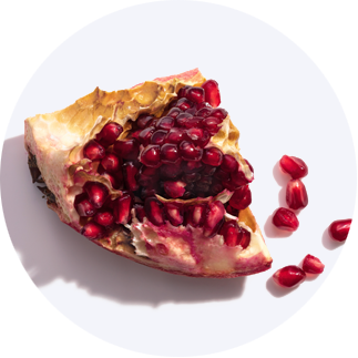 Close up of Pomegranate