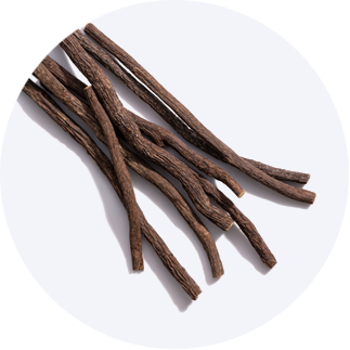 Close up of Licorice Root Extract