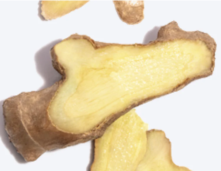 Close up of Ginger Root