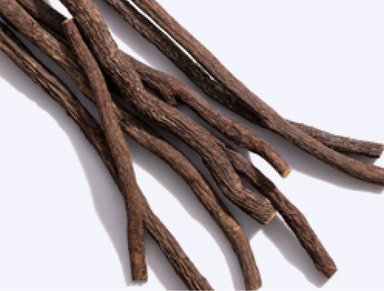 Close up of Licorice Root Extract