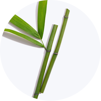 Close up of Bamboo Extract